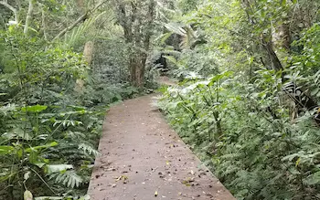 Banna park walking trails