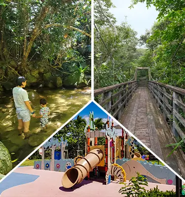 Activity Tour combined with sightseeing for Families
