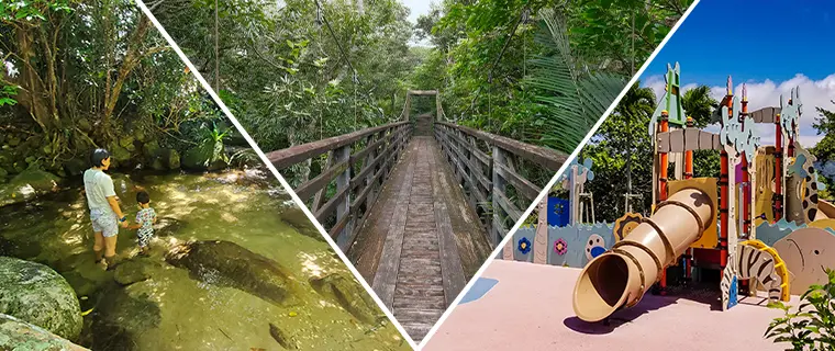 Activity Tour combined with sightseeing for Families