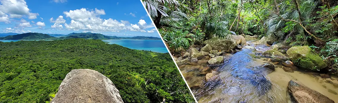 Explore Ishigaki hiking routes in mountains and rivers