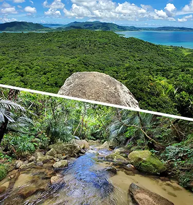 Explore Ishigaki hiking routes in mountains and rivers