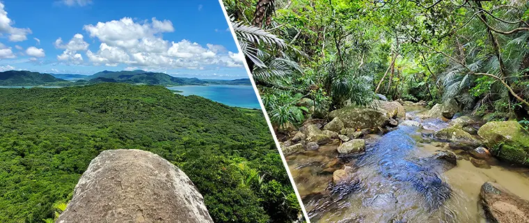 Explore Ishigaki hiking routes in mountains and rivers