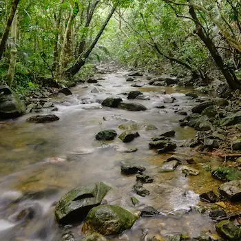 River hiking in Ishigaki Island