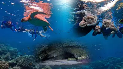 ishigaki blue cave snorkeling tour reef and cave MO