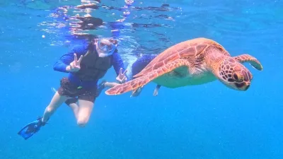 ishigaki turtle snorkeling swim with sea turtle mo