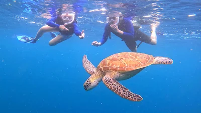 Snorkeling close to a sea turtle in Ishigaki Island