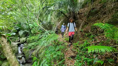 Teens walking through the Jungle